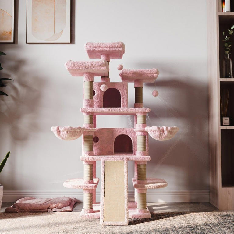 Cat trees are actually really important for cats' well-being, according ...