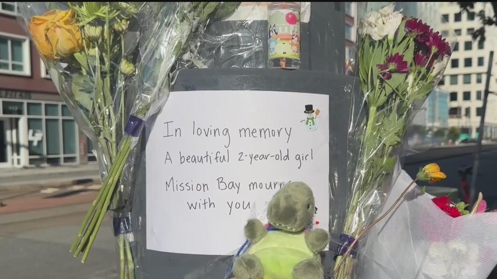 Driver charged in fatal crash that killed toddler in San Francisco's ...