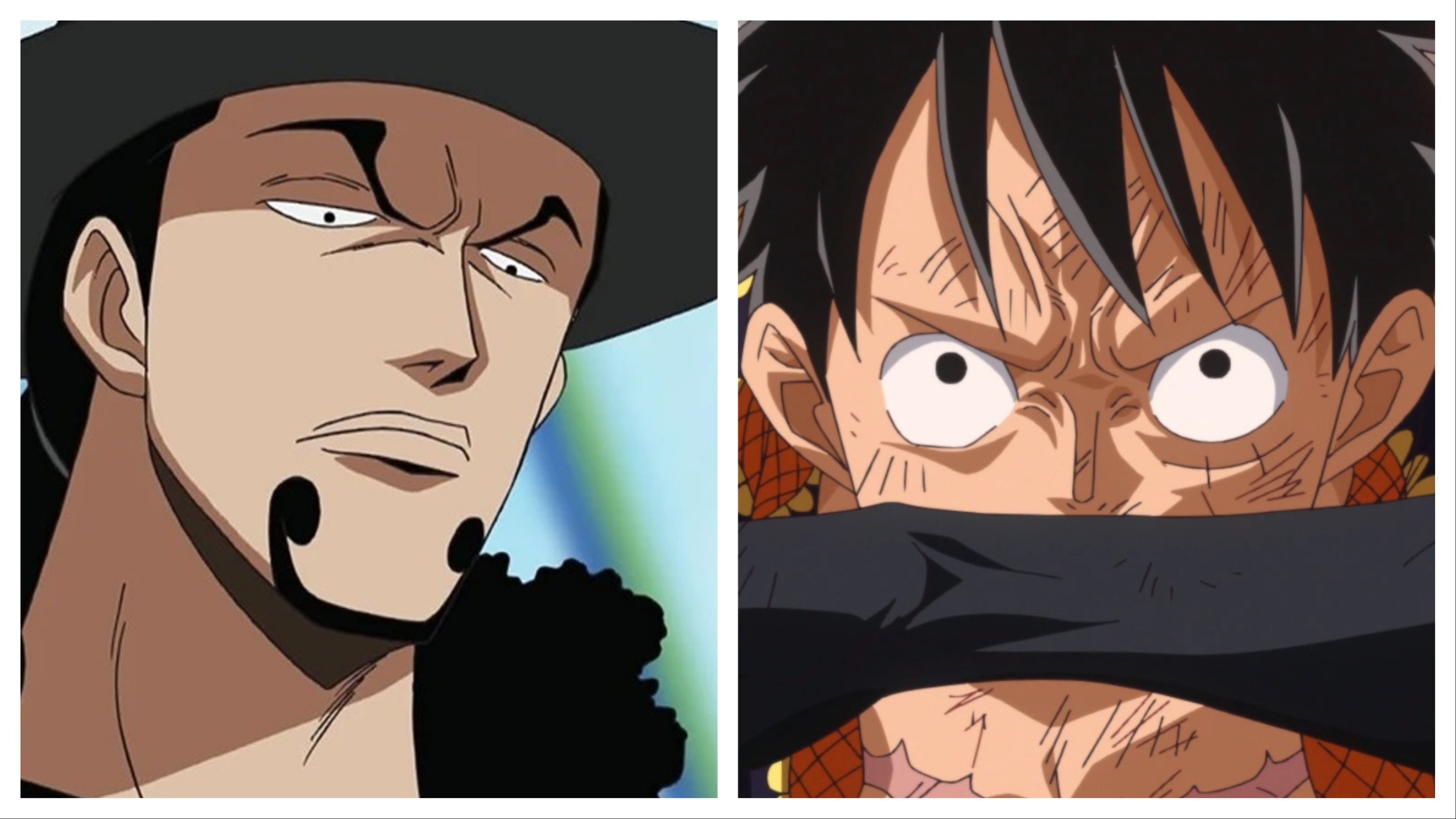 One Piece's most unique power system has been forgotten by Oda