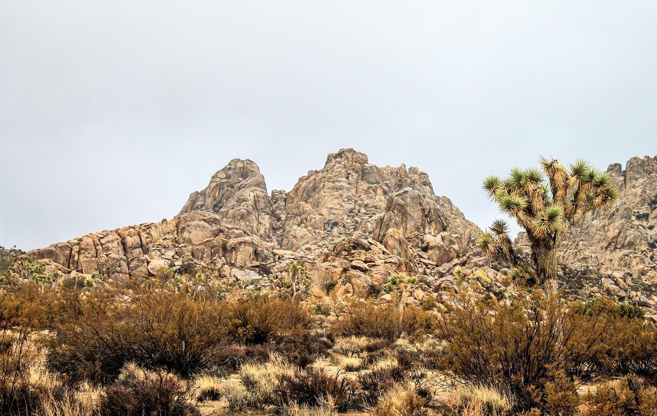 How these US desert destinations became hotter than ever<br><br>