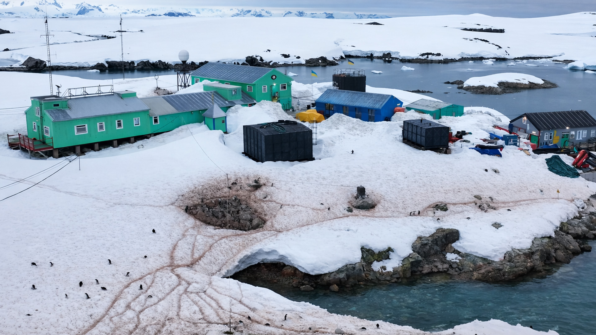 Who lives in this frozen isolation?