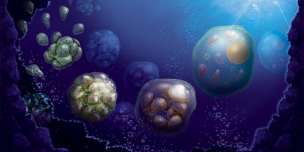 Ancient microbes fused into Earth’s first complex cells. Scientists ...