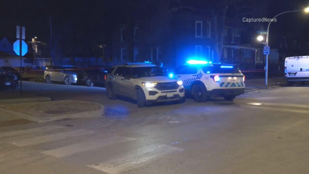 Man in custody after mother is stabbed on Chicago's West Side