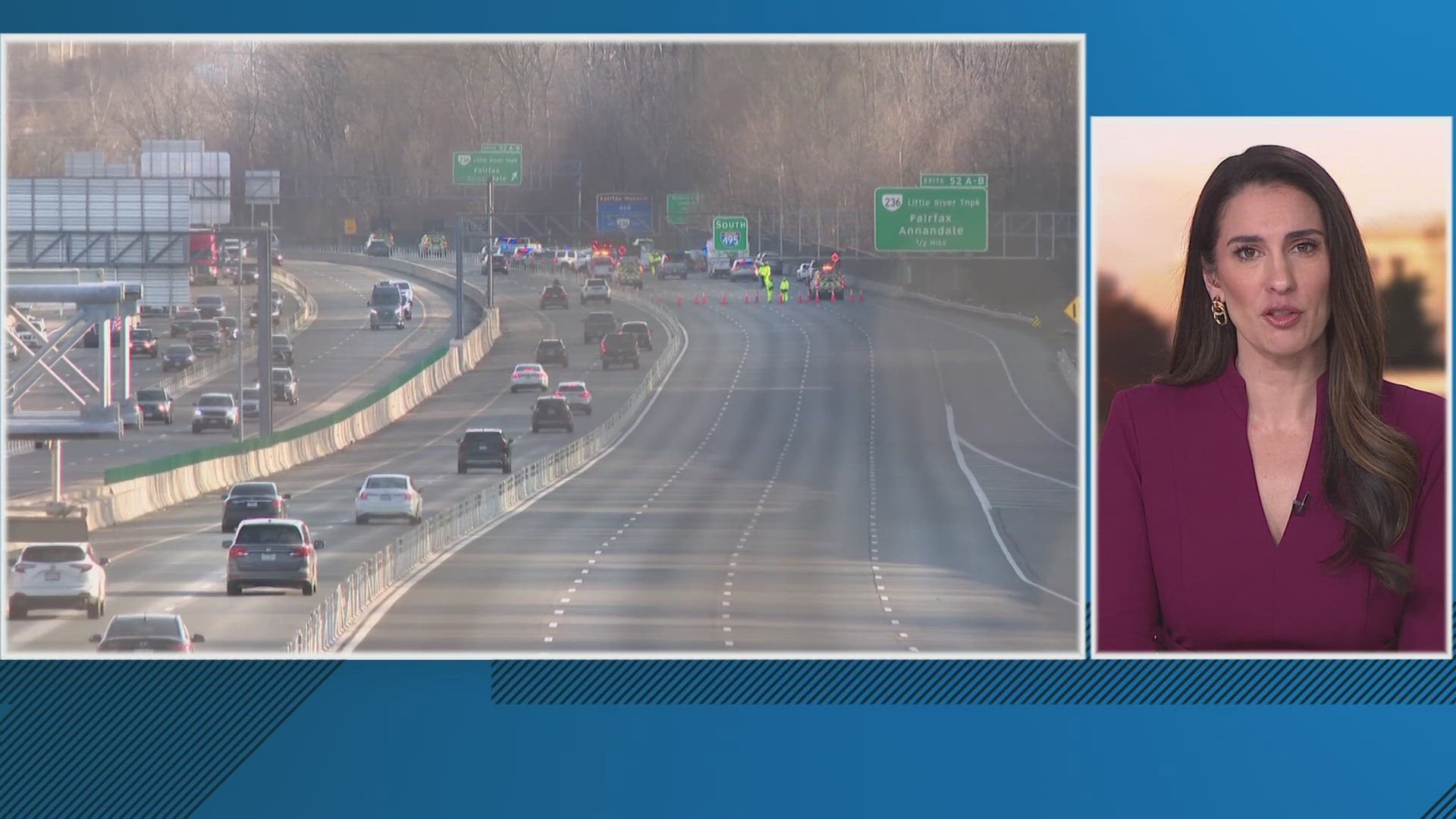Two people and a dog are dead after a road rage incident on I-495