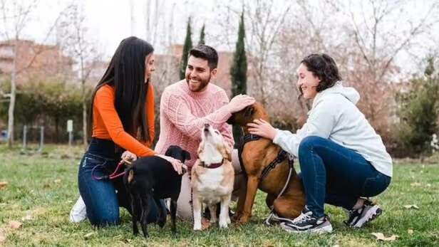 Picture of Why responsible pet owners tend to be more emotionally mature