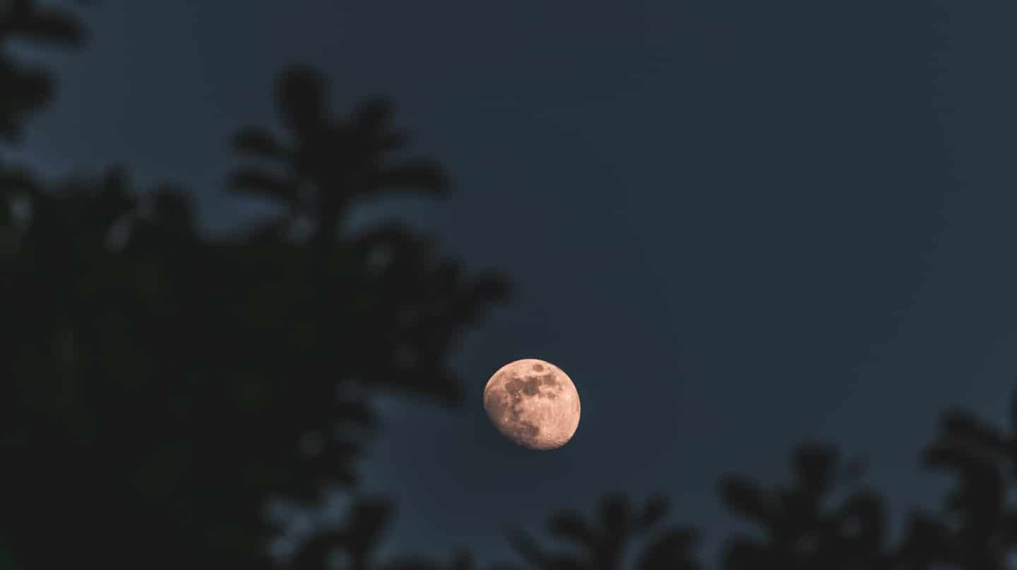 Luna llena de marzo 2026: la última del invierno coincide con un ...
