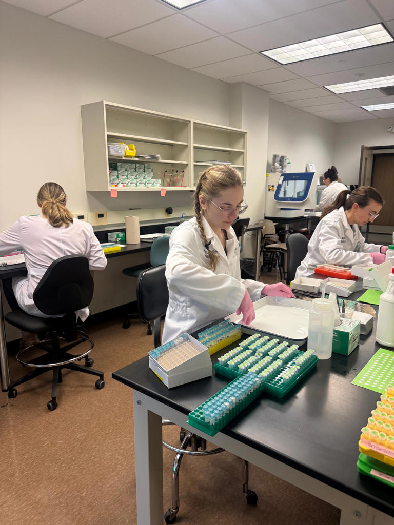 What does cold, snowy winter mean for ticks? ESU lab director explains