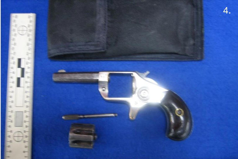 Man with gun and 38 bullets turns up at police raid in South West village