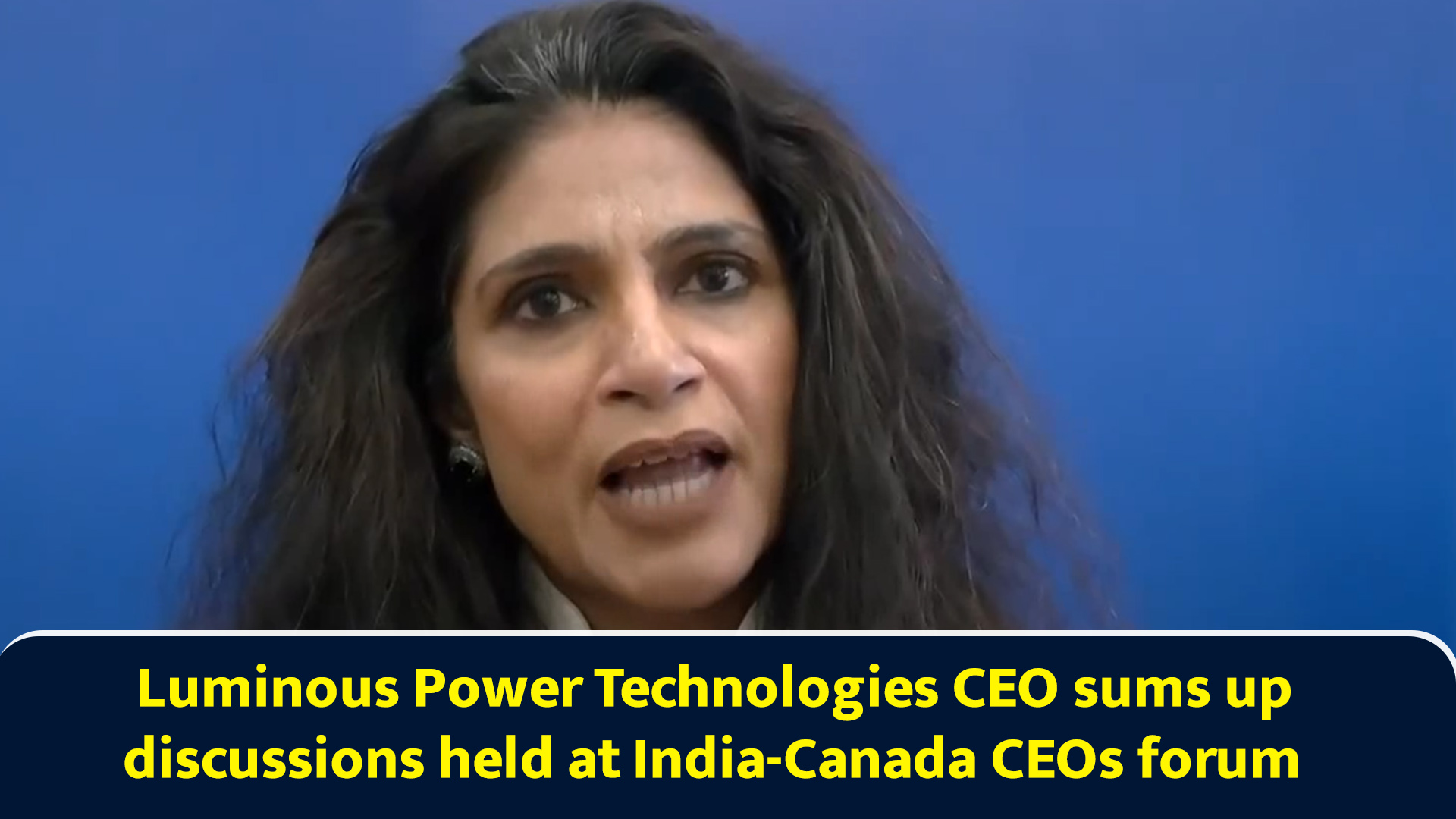 Luminous Power Technologies CEO sums up discussions held at India ...