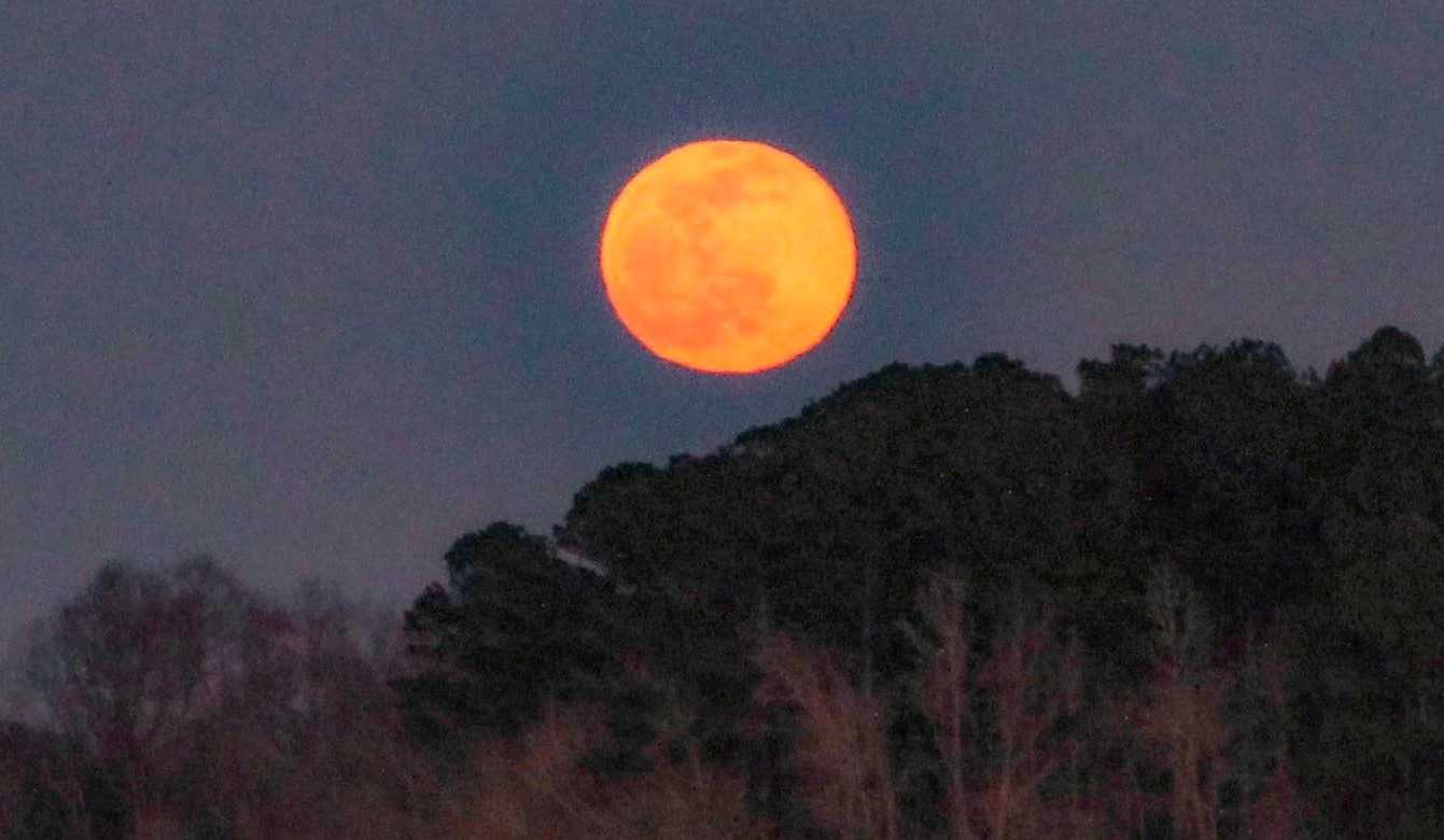 Total lunar eclipse: When you could spot Tuesday's 'blood moon' in the ...