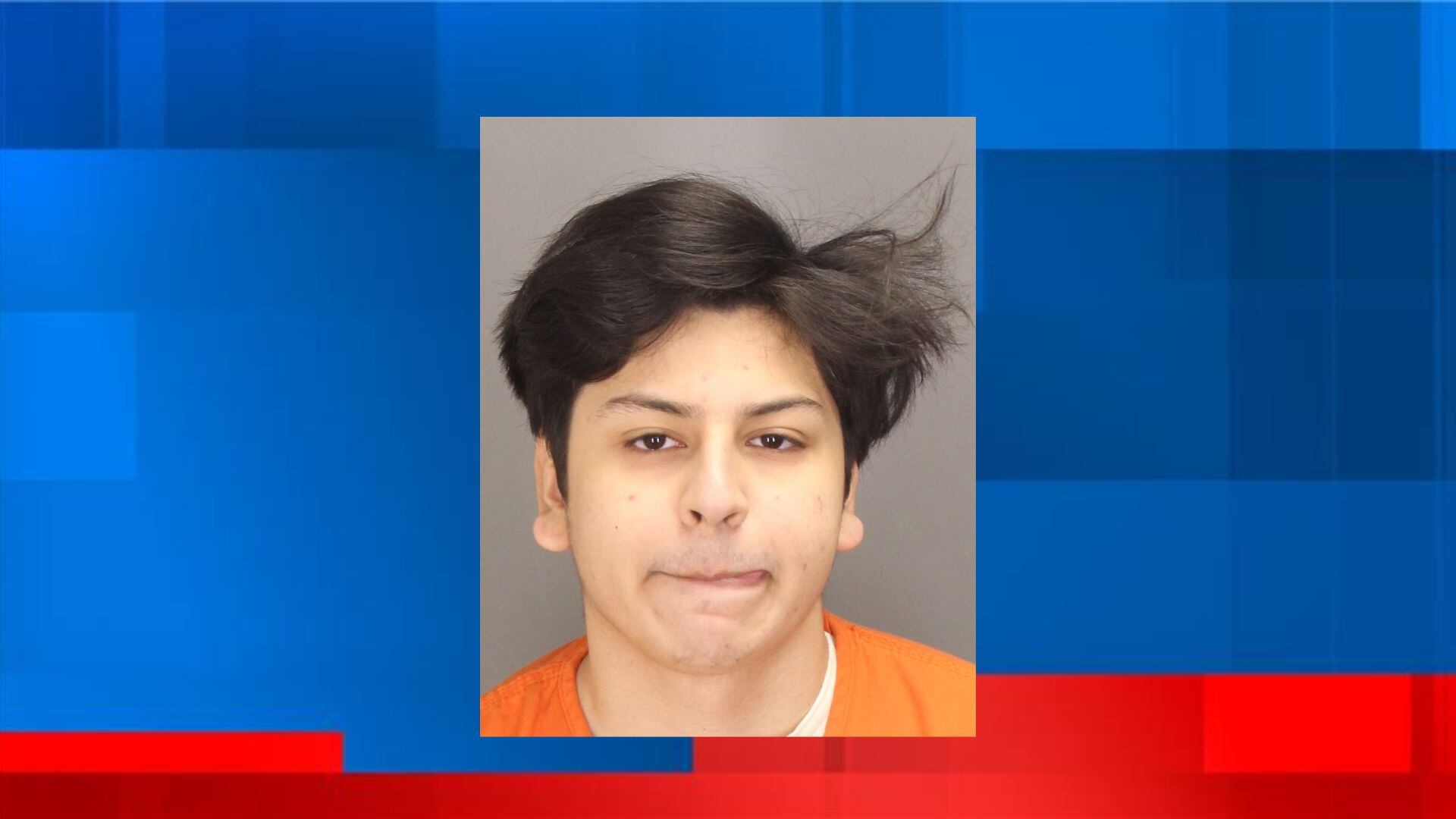 21-year-old charged in crash that killed mother, 2 children