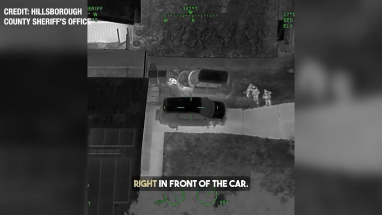 Watch: 2 Tampa teens arrested after crashing stolen car, fleeing ...