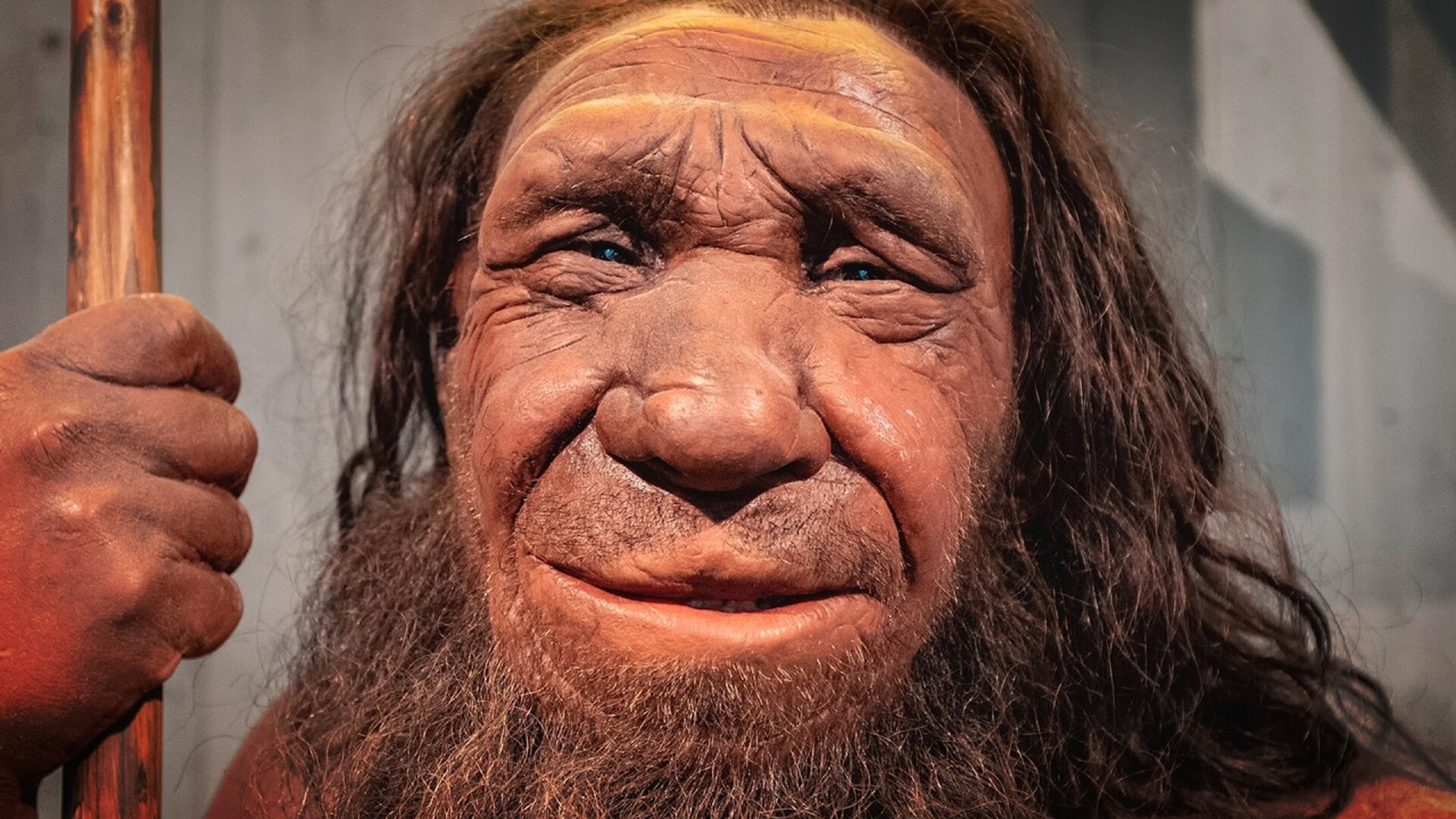 Misconceptions about the Ice Age