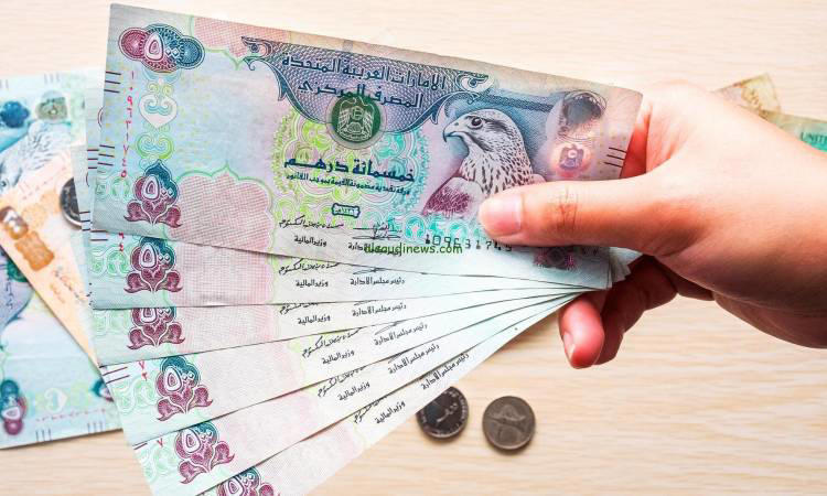 سعر الدرهم الإماراتي في مصر اليوم.. حالة من الاستقرار