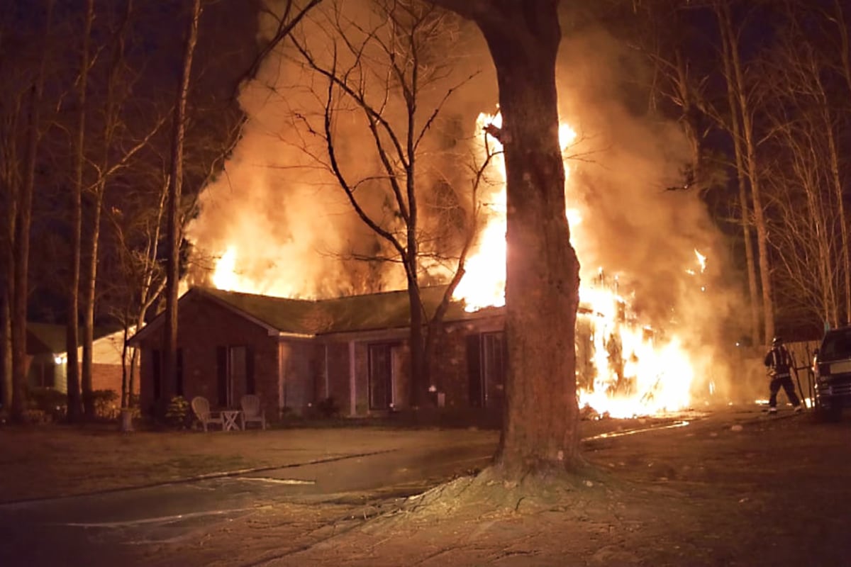 5 cats rescued from metro Atlanta house fire, home declared total loss