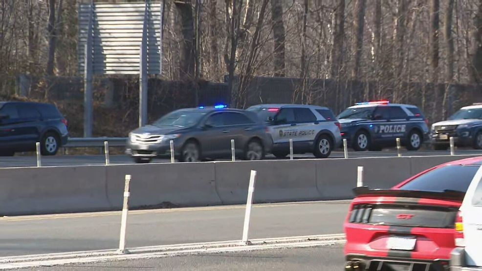 Man stabbed, killed his own dog in deadly road rage attack on I-495 in ...