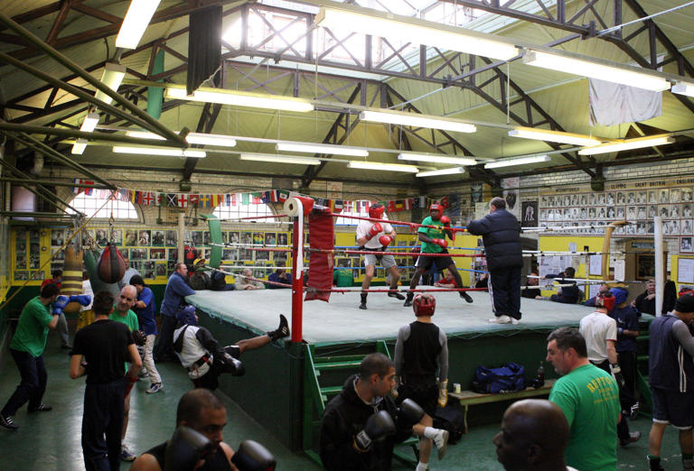 How a Victorian experiment built countless boxing champions