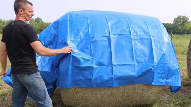 How do Harbor Freight's tarps stack up to the competition? This test found out