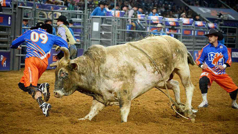 RodeoHouston payout, format, and key details fans need to know