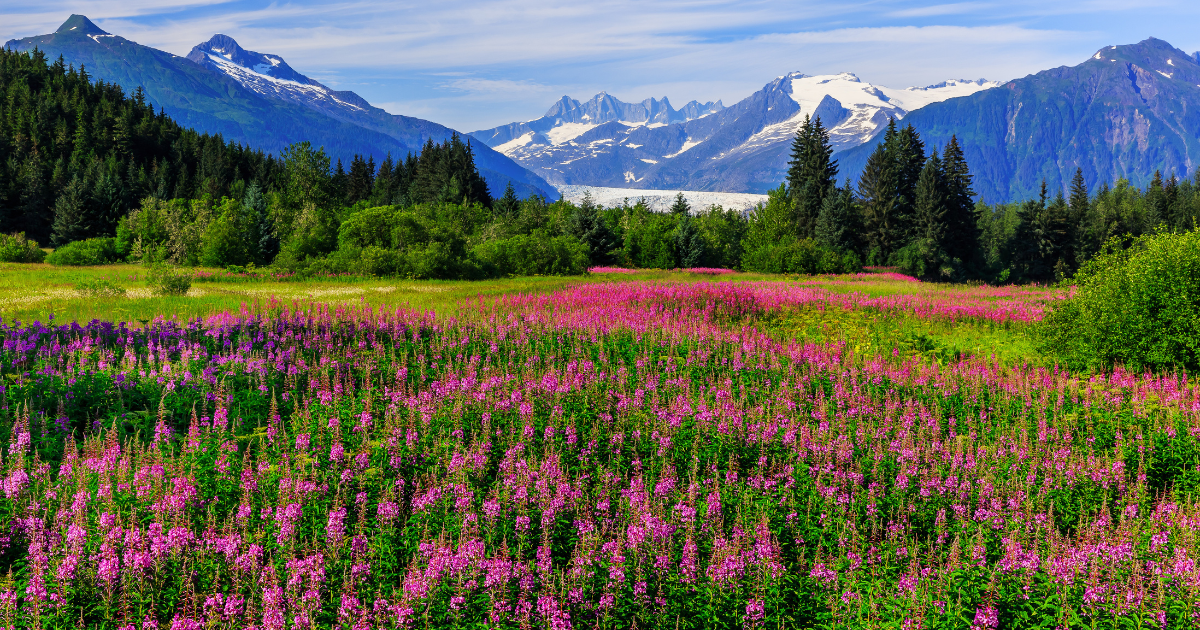 6 postcard-worthy places in Alaska filled with color