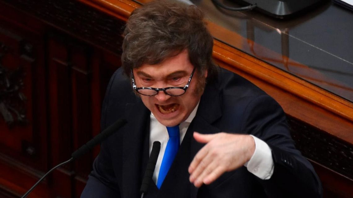 Mariana Mei sobre el discurso de Milei: “Fue un tono violento y ...