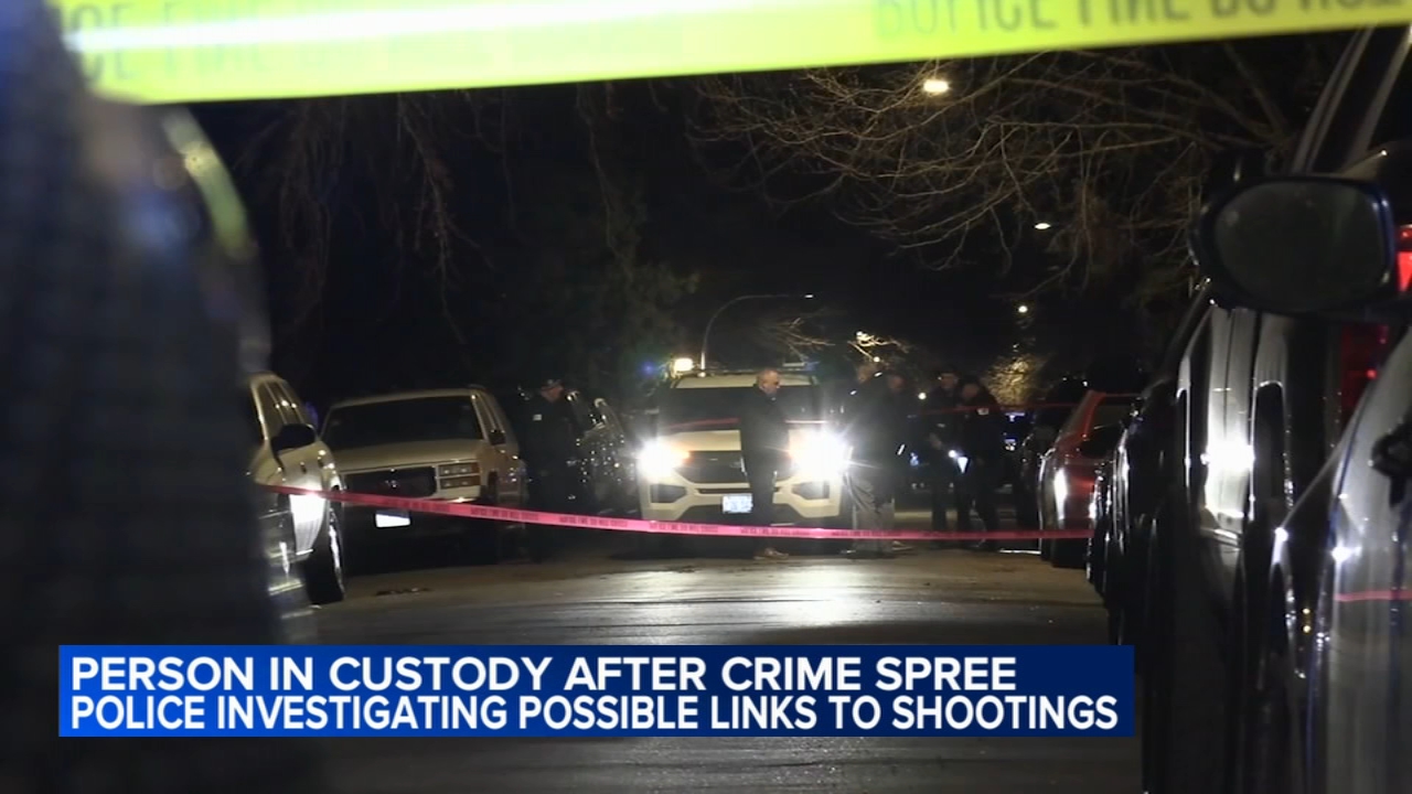1 in custody after shots fired at 2 CPD squad cars on South Side ...