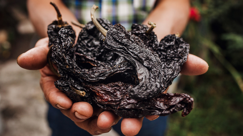 What is an ancho chile and how spicy is it?