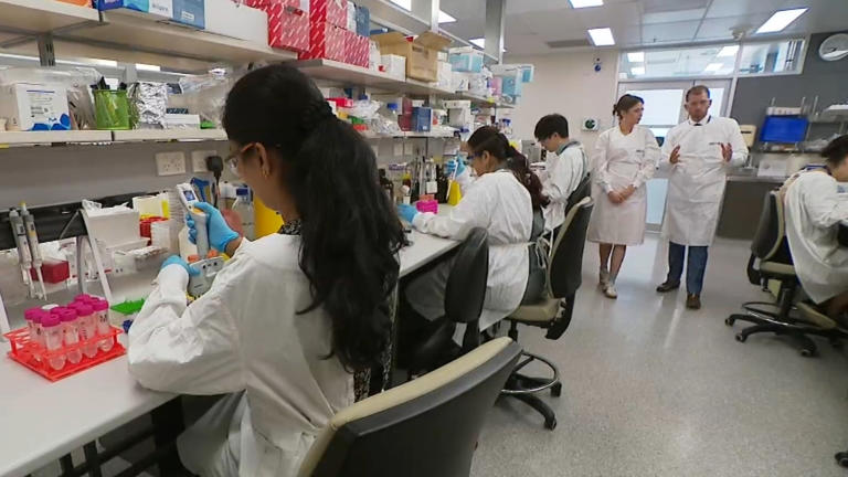 Groundbreaking Aussie test 'picked up 100 per cent of early ovarian ...