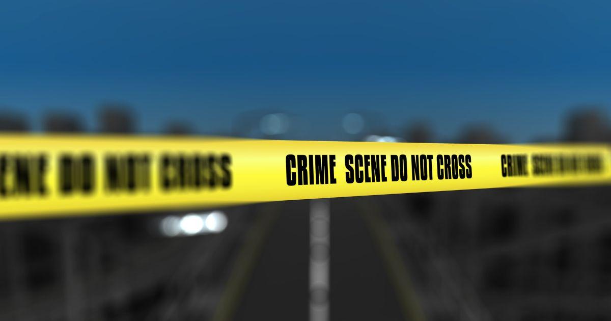 Son fatally stabs mother after threat, then kills 3 women who tried to ...