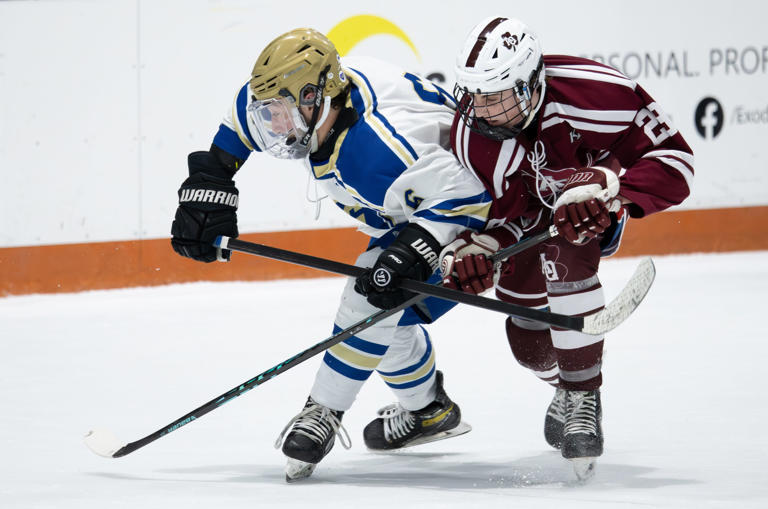 Aquinas claims first hockey section title since 2007 with win over ...