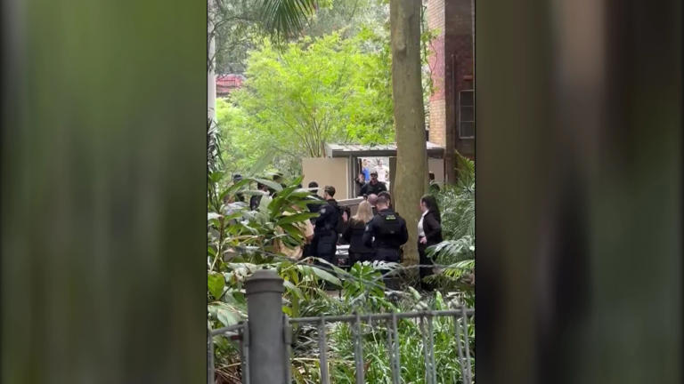 Armed man shot dead by police after allegedly attacking two women in ...