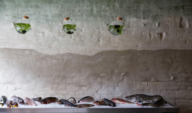 These are the coolest new restaurants opening in London this spring