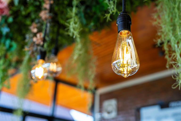 Smart backyard ideas that work even if you only use the space on weekends