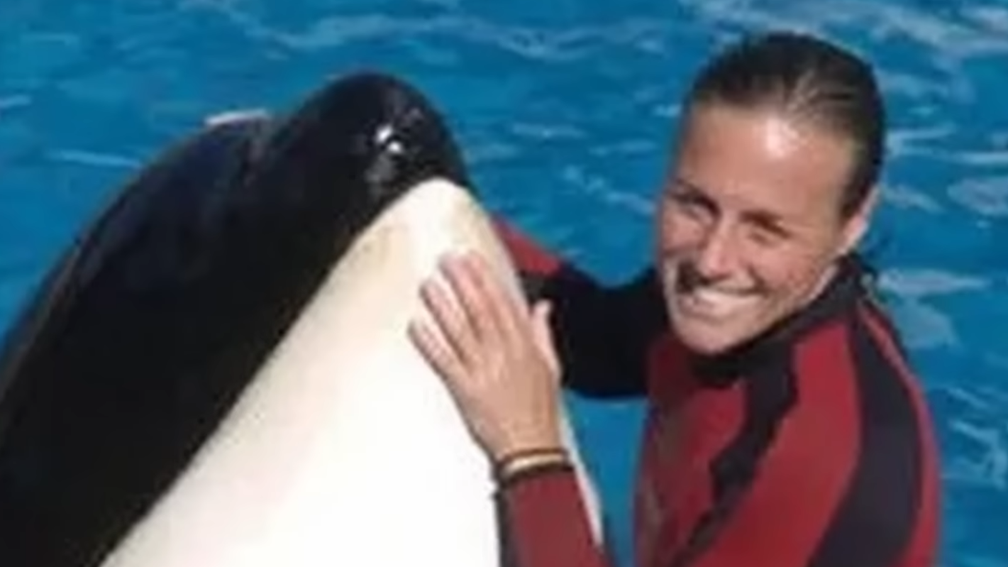 This orca had killed before... that day the tank became a killing pool