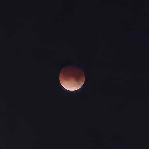 Photos: 2026 'blood moon' total lunar eclipse seen across Florida