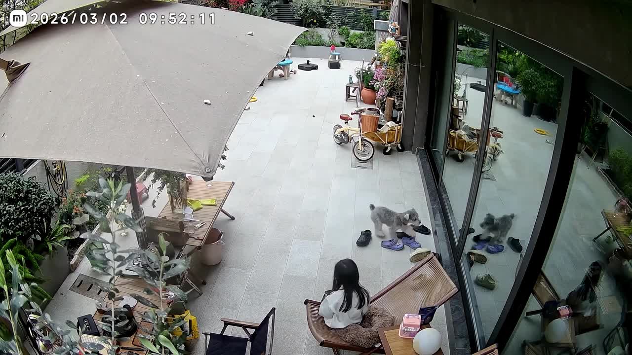 Girl gets up to hug dog, narrowly avoiding falling wooden plank