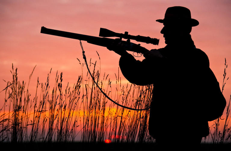 Conservation groups oppose return of big game hunting quotas