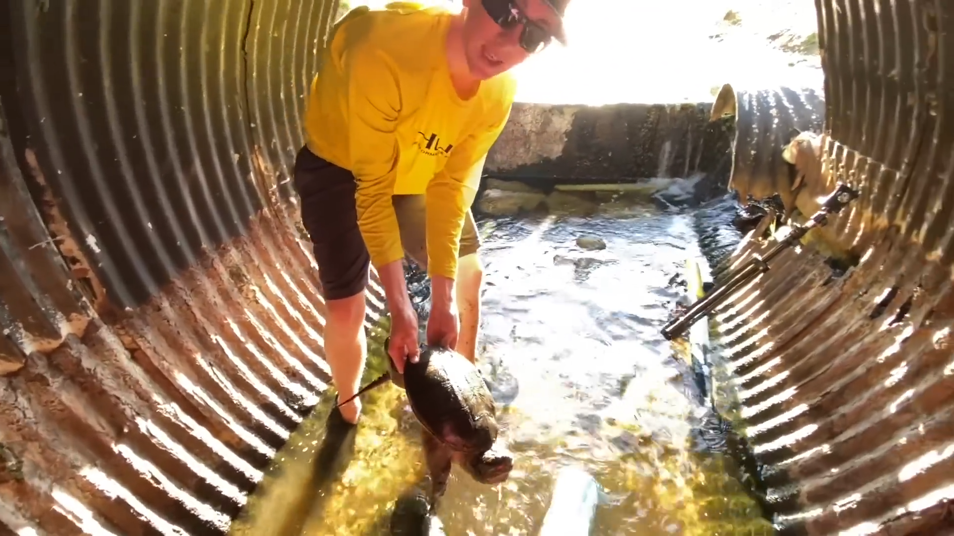 This hidden tunnel was hiding snapping turtles
