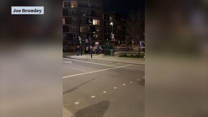Police investigation launched after man stabbed near Battersea Power ...