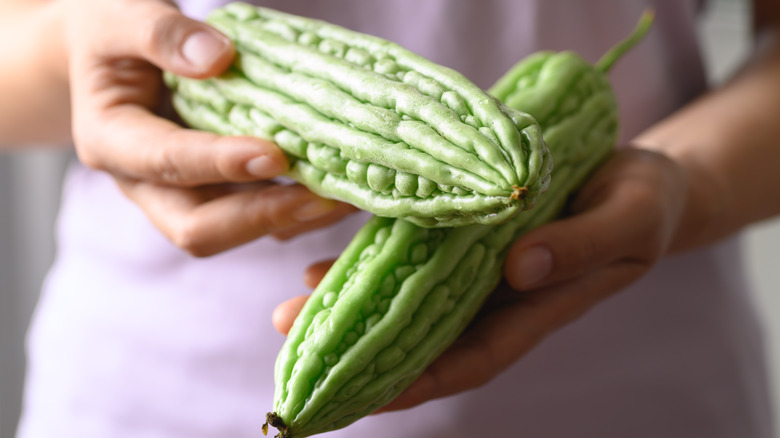 What is bitter melon and how do you cook it?