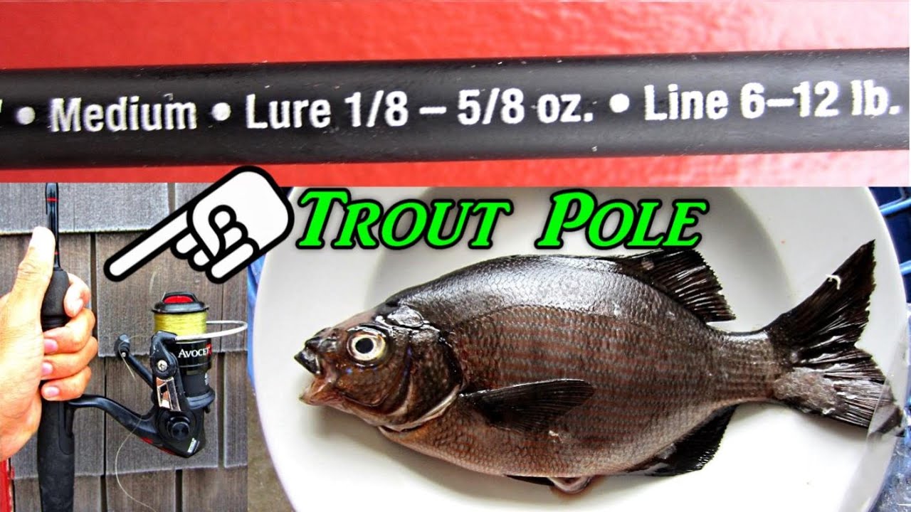 Fishing fun without a boat - trout pole adventure