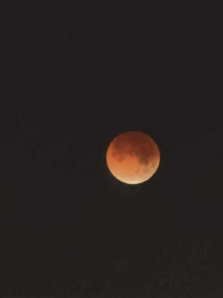 Photos: 2026 'blood moon' total lunar eclipse seen across Florida