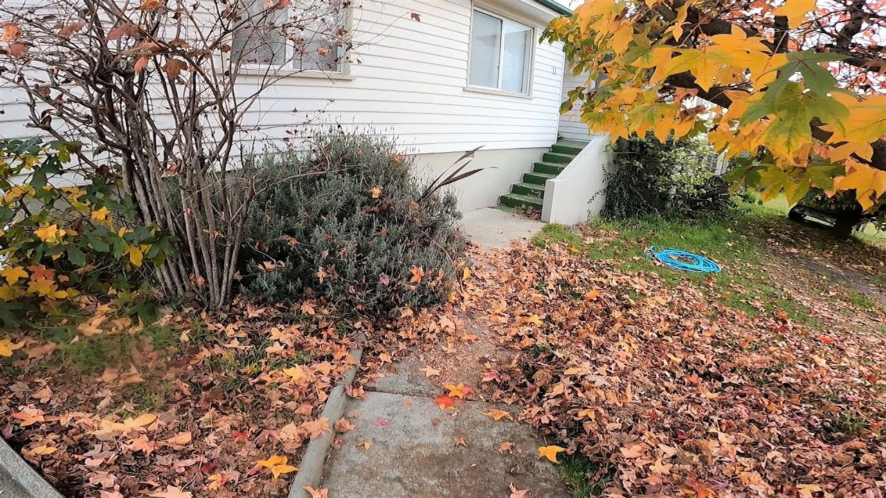 Watch our massive yard makeover mishap!
