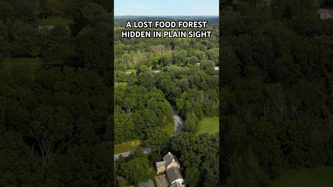 A lost food forest hidden in plain sight