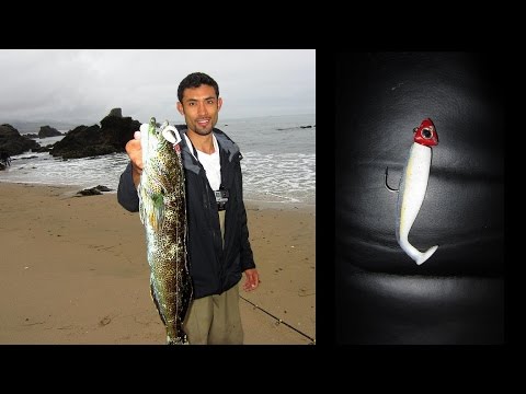 How to fish for lingcod from the surf