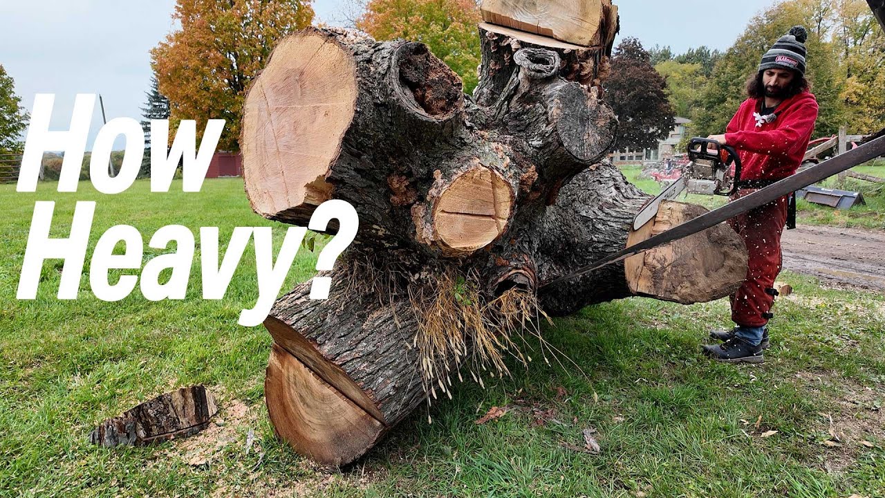 Want to master woodworking? Start here!