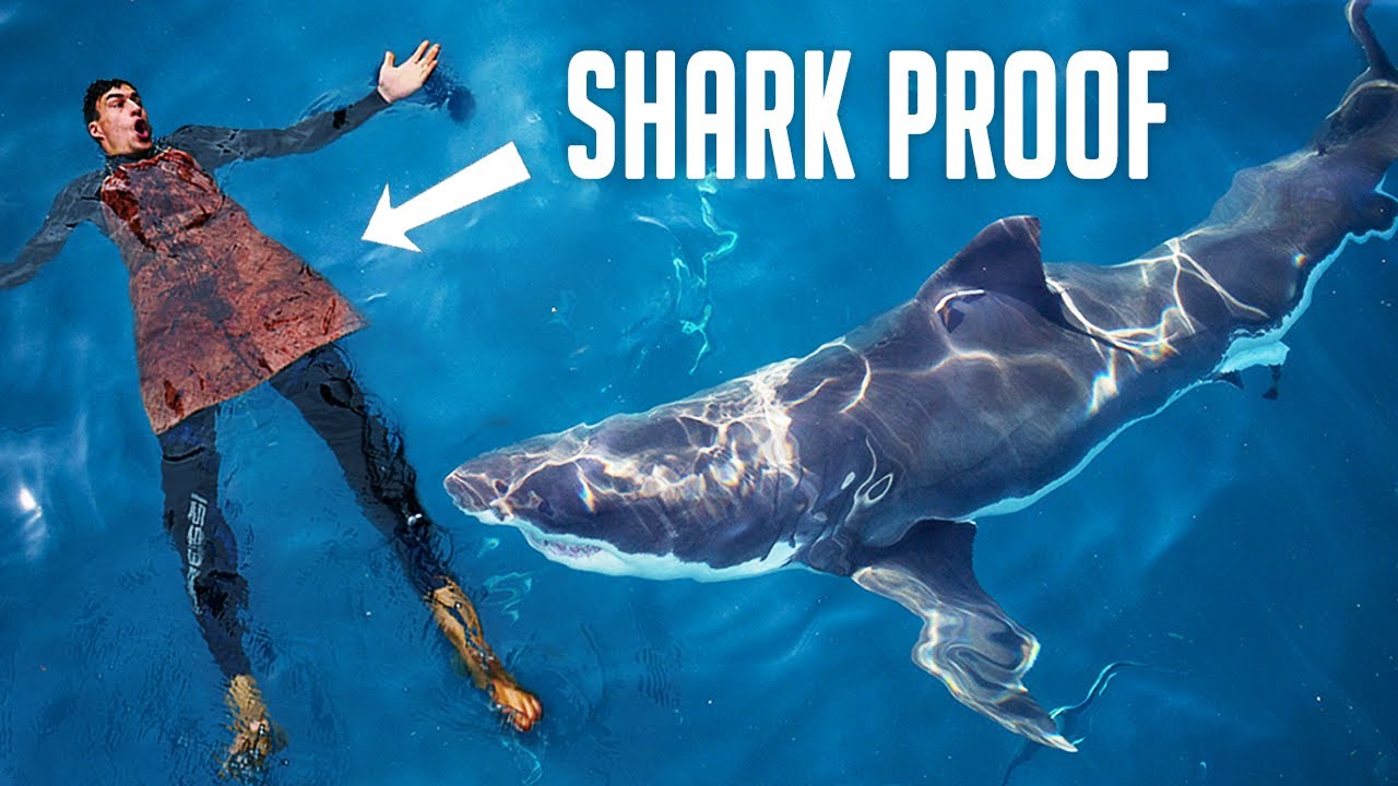 I built a shark-proof wetsuit… will it work?