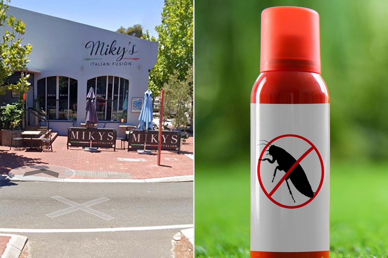 Restaurant pays fine of $28,000 after serving children insect repellent ...
