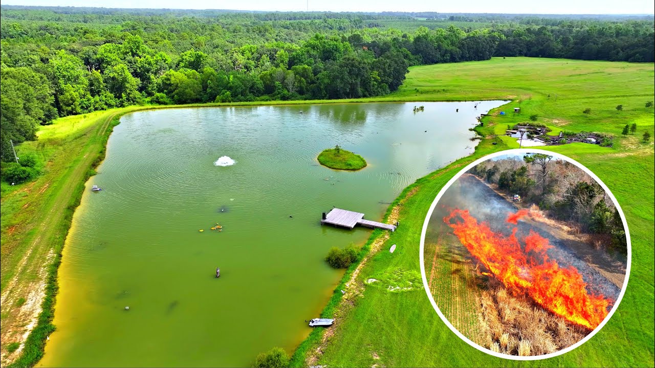 My shocking pond fire story! 🔥