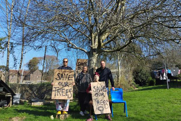 'I'm going to sit here until I'm arrested' - protester vows as trees ...